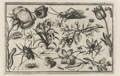 flores e insectos Pájaros, flores, insectos, etc. (título de la serie)