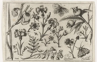 flores y mariposas Pájaros, flores, insectos, etc. (título de la serie)