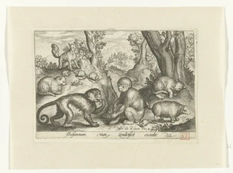 Monos, gatos y ratones Animalivm qvadrvpedvm (título de la serie) Animales en paisajes (título de la serie)