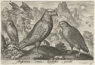 Águila y otras aves rapaces Pájaros e insectos (título de la serie)