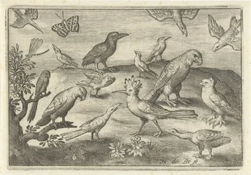Lúpulo y otras aves Pájaros e insectos (título de la serie)