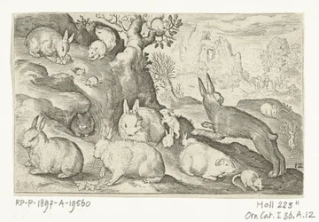 Conejos, ardilla, conejillo de indias y ratón Animalivm qvadrvpedvm (título de la serie) Animales en paisajes (título de la serie)