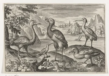 Grulla coronada entre dos avestruces Pájaros e insectos (título de la serie)
