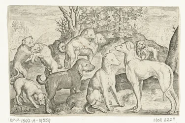 Nueve perros Animalivm qvadrvpedvm (título de la serie) Animales en paisajes (título de la serie)
