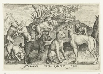 Nueve perros Animalivm qvadrvpedvm (título de la serie) Animales en paisajes (título de la serie)