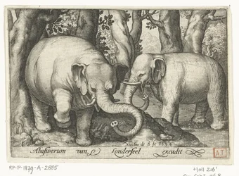 dos elefantes Animalivm qvadrvpedvm (título de la serie) Animales en paisajes (título de la serie)