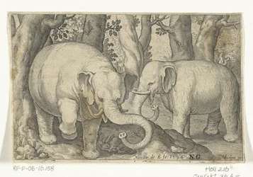 dos elefantes Animalivm qvadrvpedvm (título de la serie) Animales en paisajes (título de la serie)
