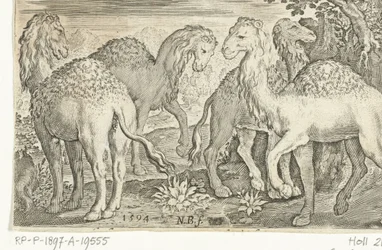 cuatro dromedarios Animalivm qvadrvpedvm (título de la serie) Animales en paisajes (título de la serie)