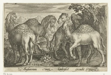 cuatro dromedarios Animalivm qvadrvpedvm (título de la serie) Animales en paisajes (título de la serie)