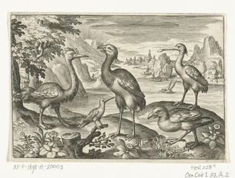 Cinco pájaros incluyendo espátula Pájaros e insectos (título de la serie)