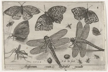 mariposas y libélulas Pájaros e insectos (título de la serie)