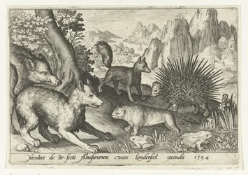 Jabalíes, zorros, castores, puercoespines y ranas Animalivm qvadrvpedvm (título de la serie) Animales en paisajes (título de la serie)