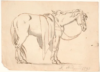 Un caballo con manta