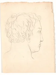 Una cabeza de un hombre vista desde atrás