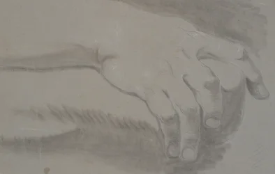 Estudio de una mano