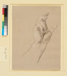 Estudio de una mano