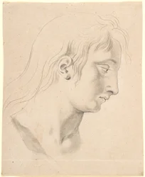Estudio para la cabeza del príncipe Hans en la imagen de Christian I en el salón de caballeros de Christiansborg