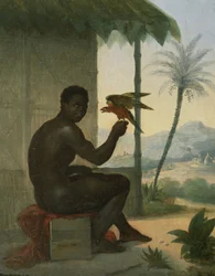 Brasileño negro con ave tropical