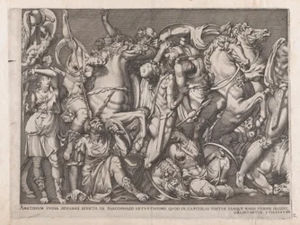 Speculum Romanae Magnificentiae: Batalla de las Amazonas, 1559
