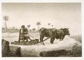 Cosecha de maíz, del Volumen II Artes y Oficios de 