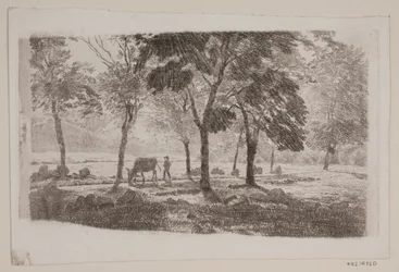 La avenida