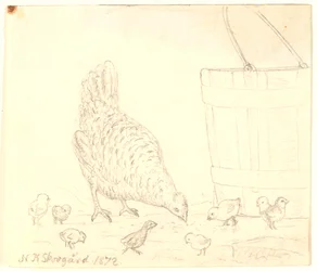Una gallina con pollitos