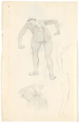 Estudio de modelo