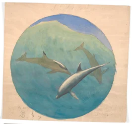 Delfines Saltando