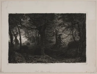 El bosque encantado