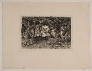 Carro en el camino del bosque