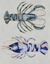Acuarela de langostas azules