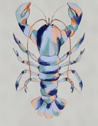 Langosta azul de colores vivos
