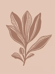 Dibujo botánico natural
