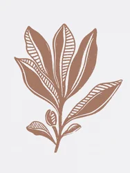 Boceto botánico orgánico