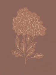 Flor rústica y botánica