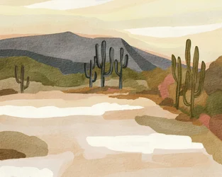 La serenidad del desierto de Saguaro