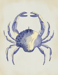 Cangrejo azul en acuarela