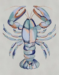 Langosta azul en acuarela