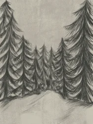 Boceto de un bosque invernal