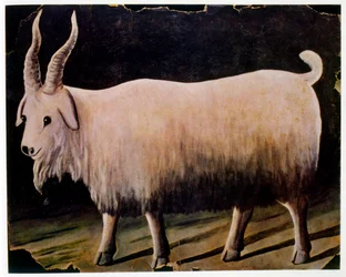 La Cabra