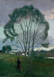 Noche de junio y árbol cetrino