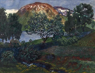 Noche de junio en el jardín.