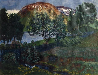 Noche de junio en el jardín.
