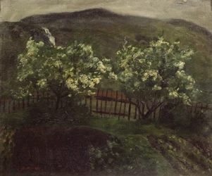 Lluvia de primavera y cereza