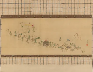 Procesión de insectos, siglo XIX