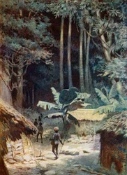 En las profundidades de un bosque melanesio, 1908