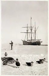 El "Fram" en la Bahía de las Ballenas, de "El Polo Sur: Relato de la expedición antártica noruega en el Fram