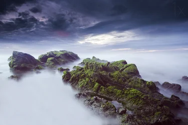 Paisaje marino etéreo y cubierto de musgo