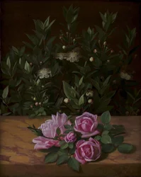 Rosas y mirtos