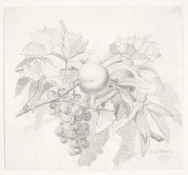 Uvas y melocotones